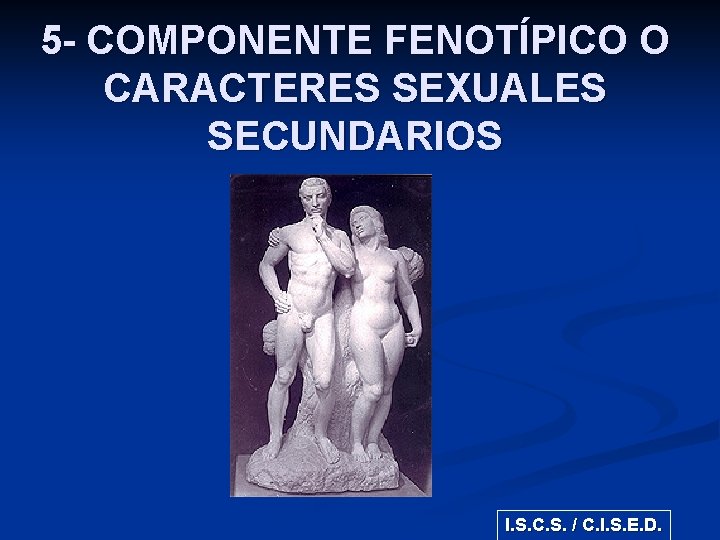 5 - COMPONENTE FENOTÍPICO O CARACTERES SEXUALES SECUNDARIOS I. S. C. S. / C.