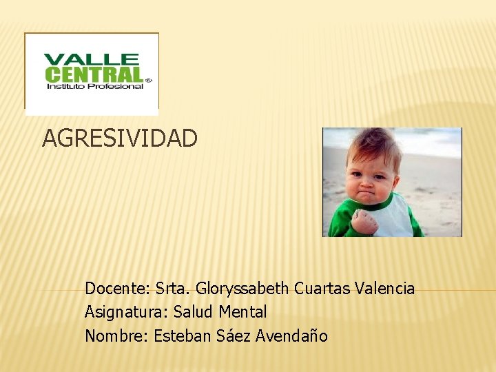 AGRESIVIDAD Docente: Srta. Gloryssabeth Cuartas Valencia Asignatura: Salud Mental Nombre: Esteban Sáez Avendaño 