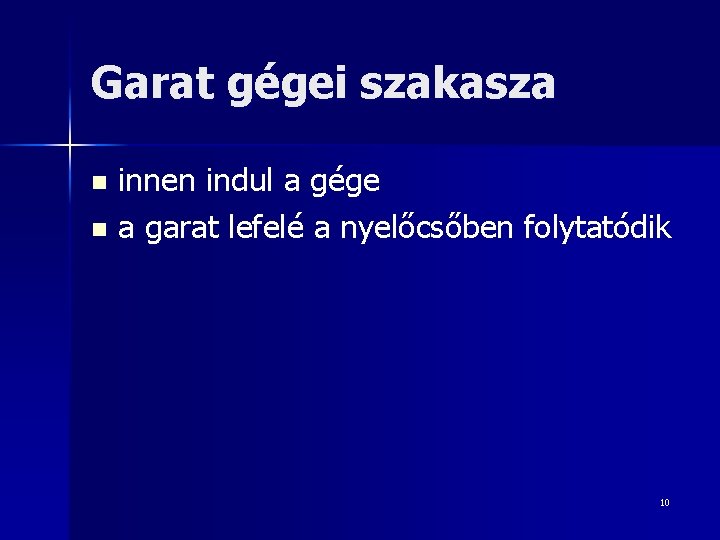 Garat gégei szakasza innen indul a gége n a garat lefelé a nyelőcsőben folytatódik