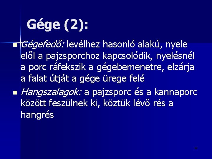 Gége (2): n Gégefedő: levélhez hasonló alakú, nyele elől a pajzsporchoz kapcsolódik, nyelésnél a