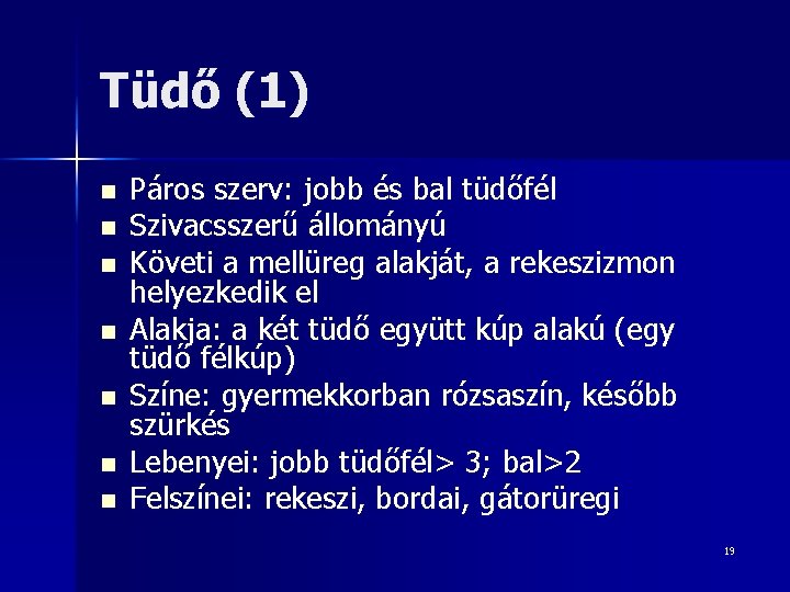 Tüdő (1) n n n n Páros szerv: jobb és bal tüdőfél Szivacsszerű állományú