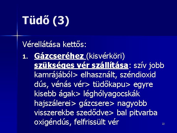 Tüdő (3) Vérellátása kettős: 1. Gázcseréhez (kisvérköri) szükséges vér szállítása: szív jobb kamrájából> elhasznált,