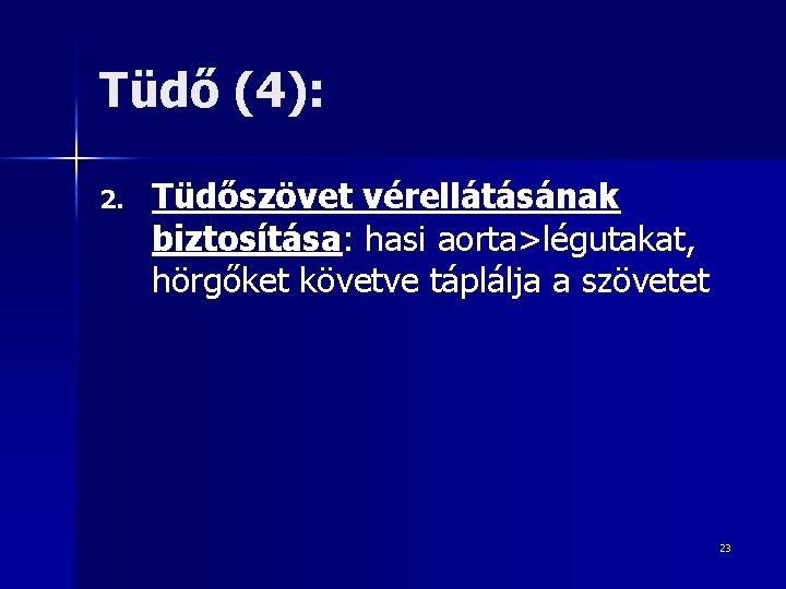 Tüdő (4): 2. Tüdőszövet vérellátásának biztosítása: hasi aorta>légutakat, hörgőket követve táplálja a szövetet 23