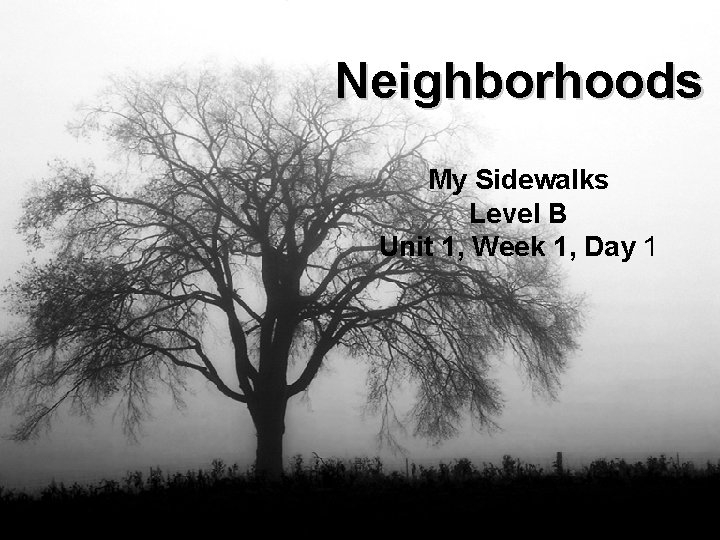 Neighborhoods My Sidewalks Level B Unit 1, Week 1, Day 1 