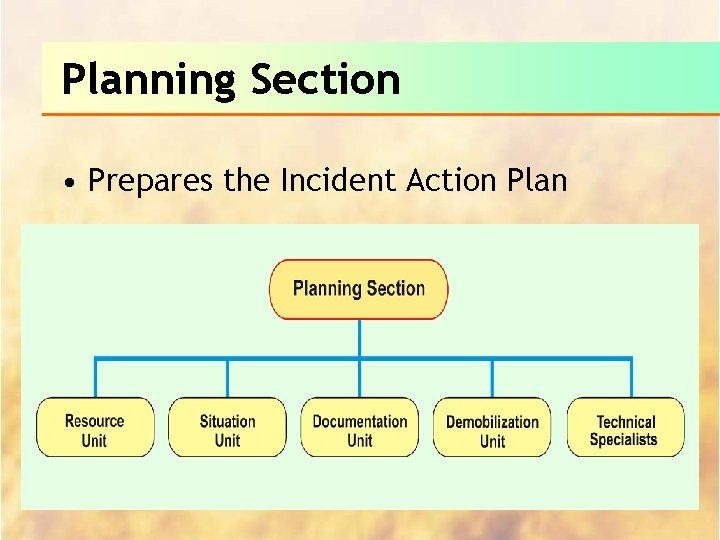 Planning Section • Prepares the Incident Action Plan 