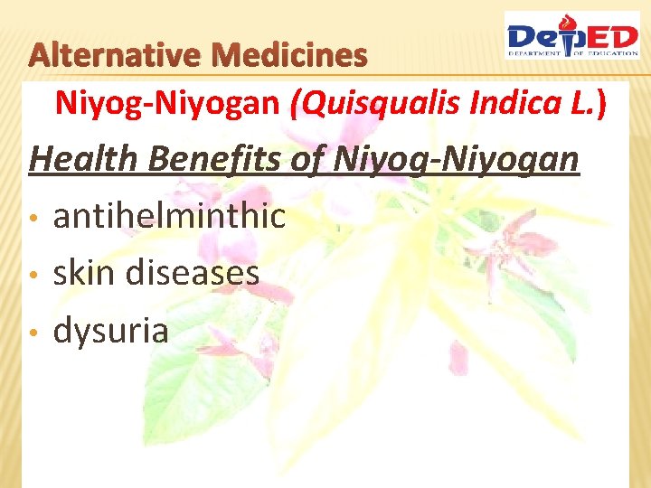 10 HERBAL MEDICINES APPROVED BY DOH AND THEIR