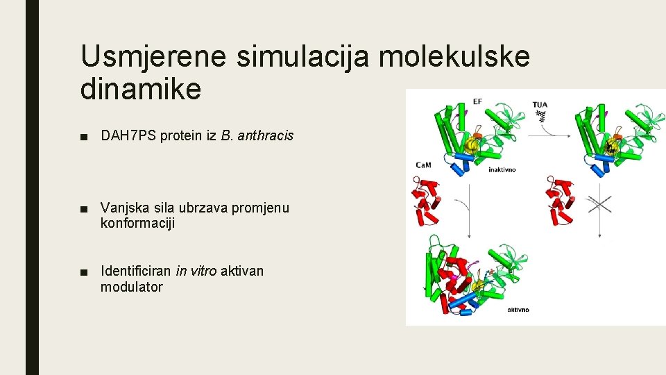 Usmjerene simulacija molekulske dinamike ■ DAH 7 PS protein iz B. anthracis ■ Vanjska