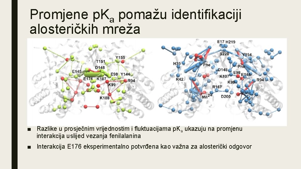 Promjene p. Ka pomažu identifikaciji alosteričkih mreža ■ Razlike u prosječnim vrijednostim i fluktuacijama