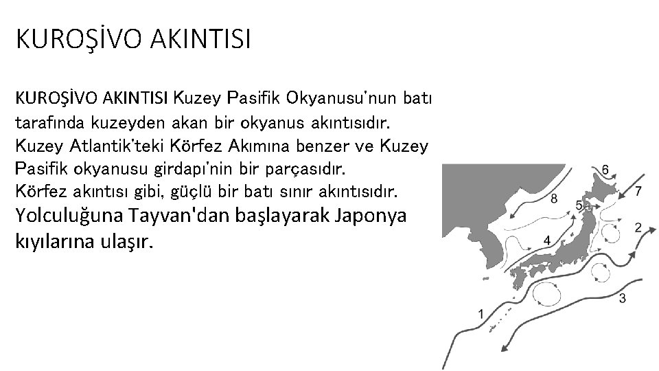 KUROŞİVO AKINTISI Kuzey Pasifik Okyanusu'nun batı tarafında kuzeyden akan bir okyanus akıntısıdır. Kuzey Atlantik'teki