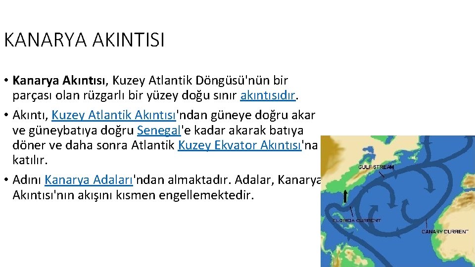 KANARYA AKINTISI • Kanarya Akıntısı, Kuzey Atlantik Döngüsü'nün bir parçası olan rüzgarlı bir yüzey