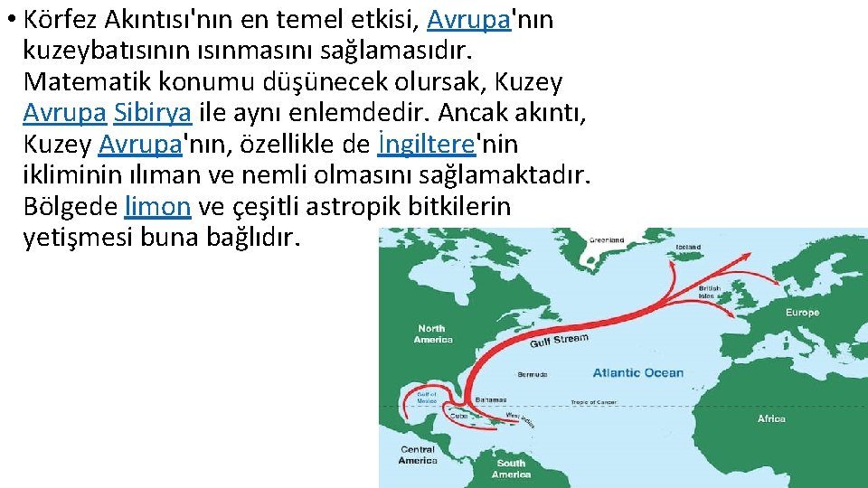  • Körfez Akıntısı'nın en temel etkisi, Avrupa'nın kuzeybatısının ısınmasını sağlamasıdır. Matematik konumu düşünecek
