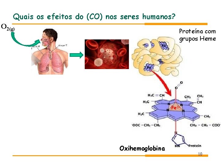 Quais os efeitos do (CO) nos seres humanos? O 2(g) Proteína com grupos Heme Quais os efeitos do (CO) nos seres humanos? O 2(g) Proteína com grupos Heme