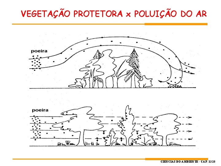 VEGETAÇÃO PROTETORA x POLUIÇÃO DO AR CIÊNCIAS DO AMBIENTE - CAP. 13. 18 VEGETAÇÃO PROTETORA x POLUIÇÃO DO AR CIÊNCIAS DO AMBIENTE - CAP. 13. 18