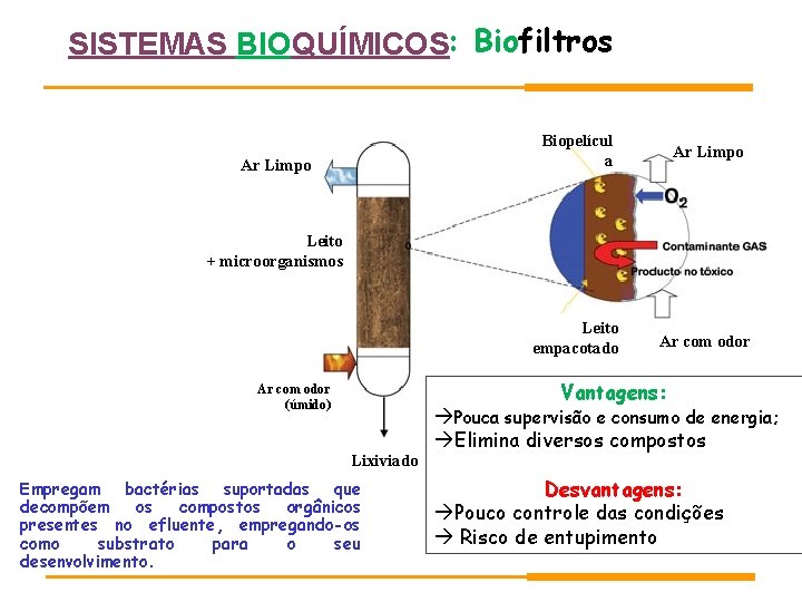 SISTEMAS BIOQUÍMICOS: Biofiltros Ar Limpo Biopelícul a Ar Limpo Leito empacotado Ar com odor SISTEMAS BIOQUÍMICOS: Biofiltros Ar Limpo Biopelícul a Ar Limpo Leito empacotado Ar com odor