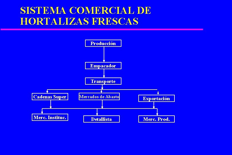 SISTEMA COMERCIAL DE HORTALIZAS FRESCAS Producción Empacador Transporte Cadenas Super Merc. Instituc. Mercados de