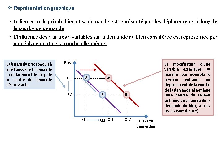 v Représentation graphique • Le lien entre le prix du bien et sa demande