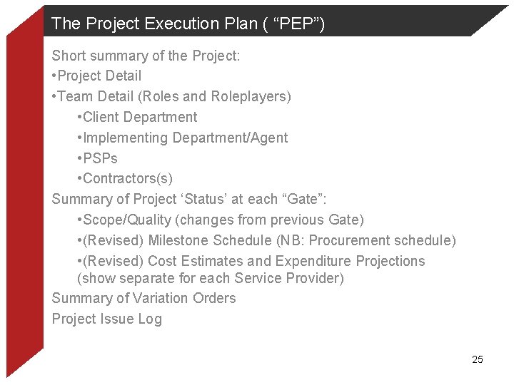 The Project Execution Plan ( “PEP”) Short summary of the Project: • Project Detail