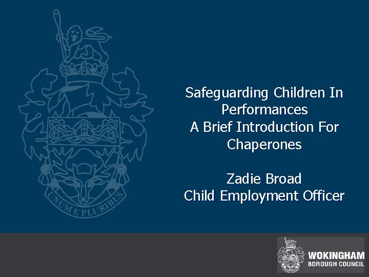  Safeguarding Children In Performances A Brief Introduction For Chaperones Zadie Broad Child Employment