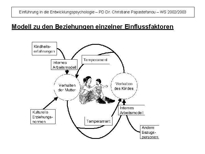 Einführung in die Entwicklungspsychologie – PD Dr. Christiane Papastefanou – WS 2002/2003 Modell zu