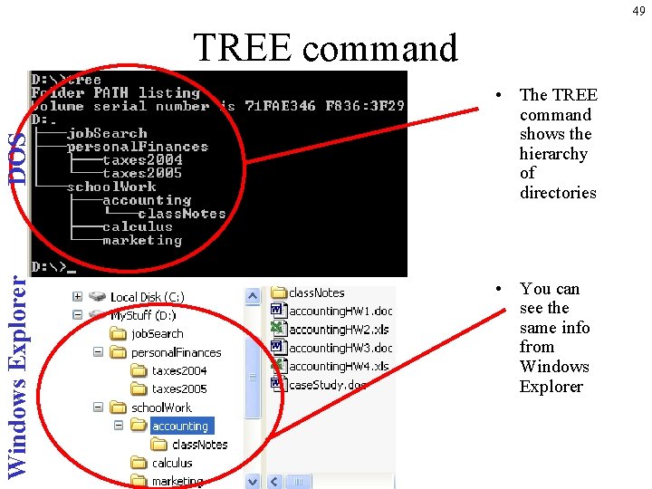 49 Windows Explorer DOS TREE command • The TREE command shows the hierarchy of 49 Windows Explorer DOS TREE command • The TREE command shows the hierarchy of