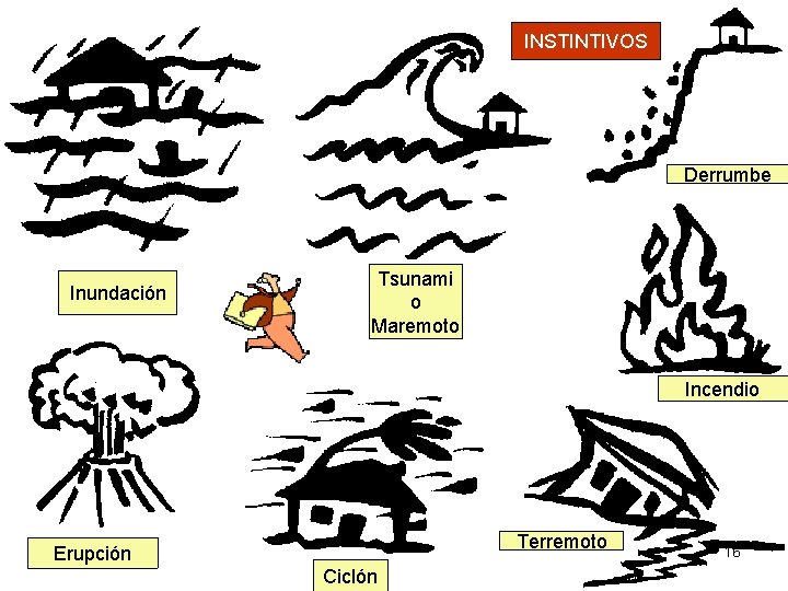 INSTINTIVOS Derrumbe Inundación Tsunami o Maremoto Incendio Terremoto Erupción Ciclón 16 