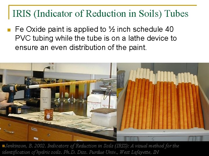 IRIS (Indicator of Reduction in Soils) Tubes n Fe Oxide paint is applied to