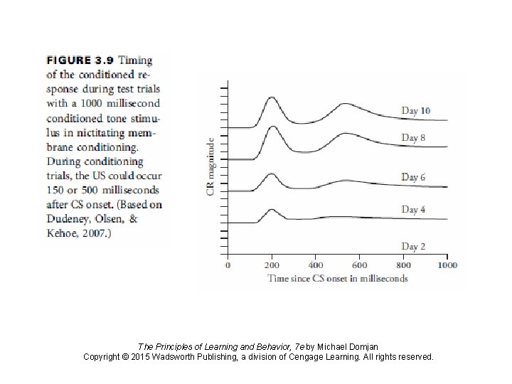 The Principles of Learning and Behavior, 7 e by Michael Domjan Copyright © 2015