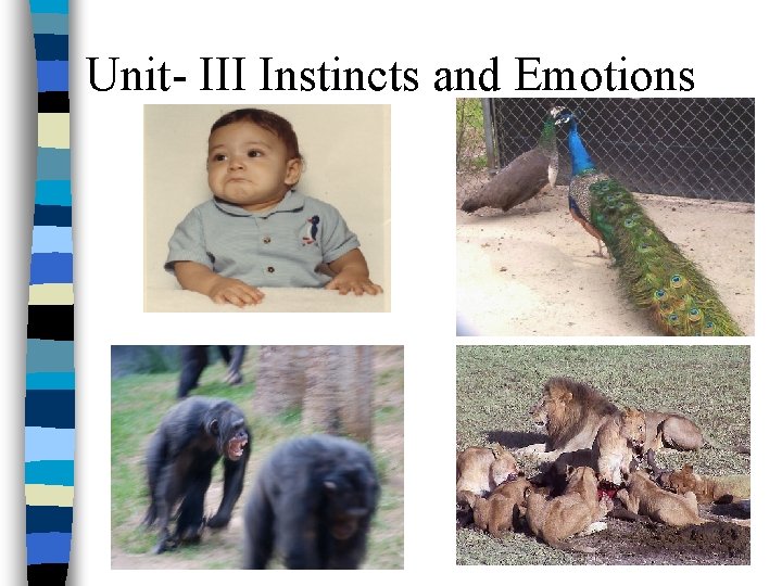 Unit- III Instincts and Emotions 