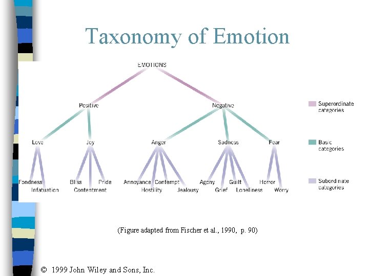 Taxonomy of Emotion (Figure adapted from Fischer et al. , 1990, p. 90) ©
