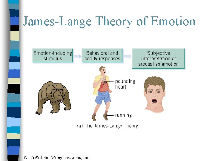 James-Lange Theory of Emotion © 1999 John Wiley and Sons, Inc. 