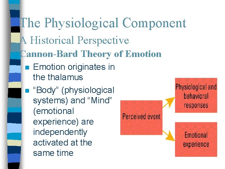 The Physiological Component A Historical Perspective Cannon-Bard Theory of Emotion n n Emotion originates