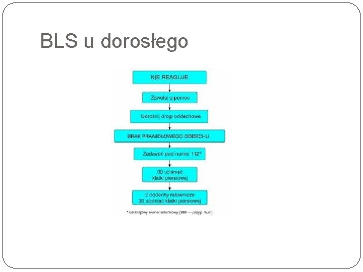 BLS u dorosłego 