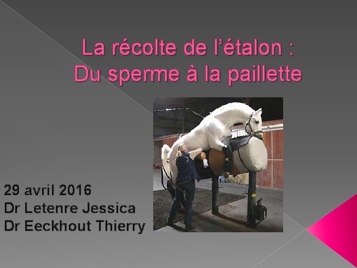 La récolte de l’étalon : Du sperme à la paillette 29 avril 2016 Dr