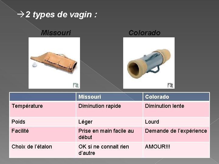  2 types de vagin : Missouri Colorado Missouri Colorado Température Diminution rapide Diminution