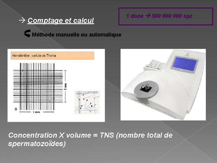  Comptage et calcul 1 dose 500 000 spz Méthode manuelle ou automatique Concentration