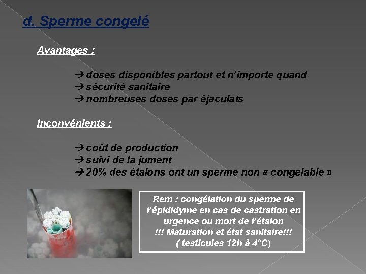 d. Sperme congelé Avantages : doses disponibles partout et n’importe quand sécurité sanitaire nombreuses