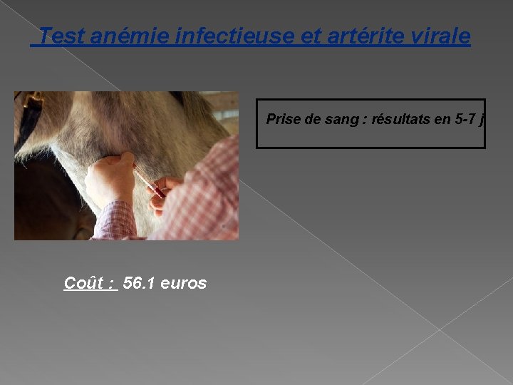  Test anémie infectieuse et artérite virale Prise de sang : résultats en 5