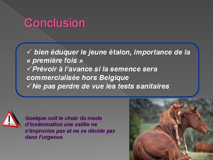 Conclusion ü bien éduquer le jeune étalon, importance de la « première fois »