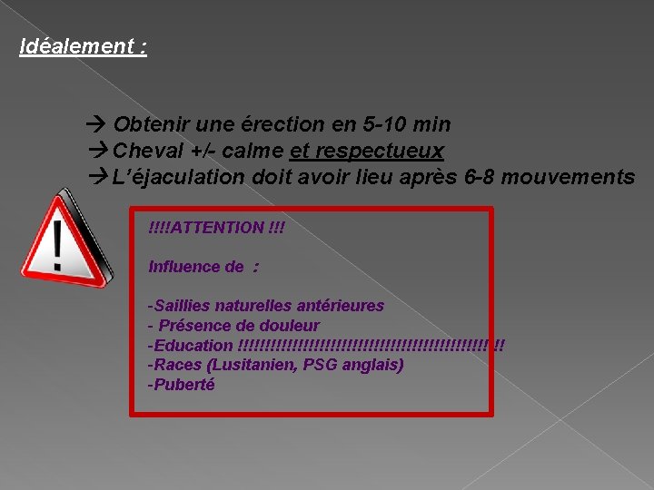 Idéalement : Obtenir une érection en 5 -10 min Cheval +/- calme et respectueux