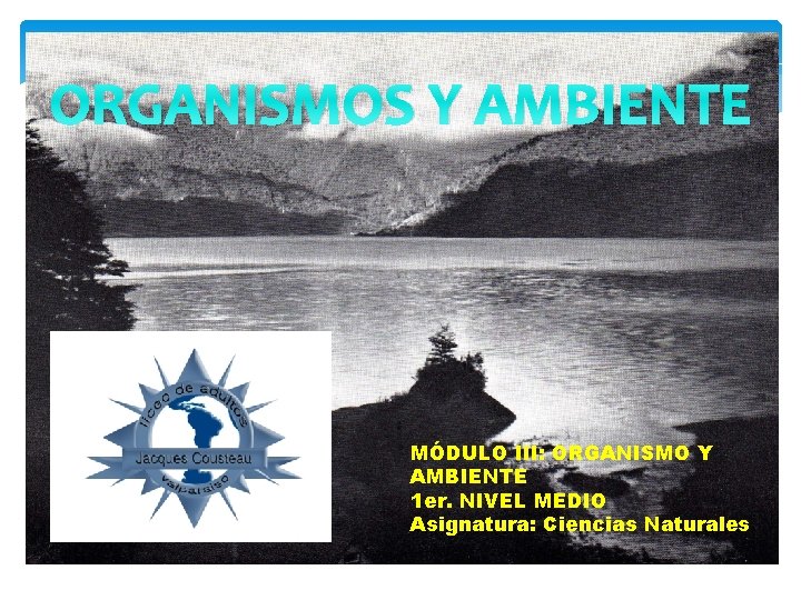 ORGANISMOS Y AMBIENTE MÓDULO III: ORGANISMO Y AMBIENTE 1 er. NIVEL MEDIO Asignatura: Ciencias