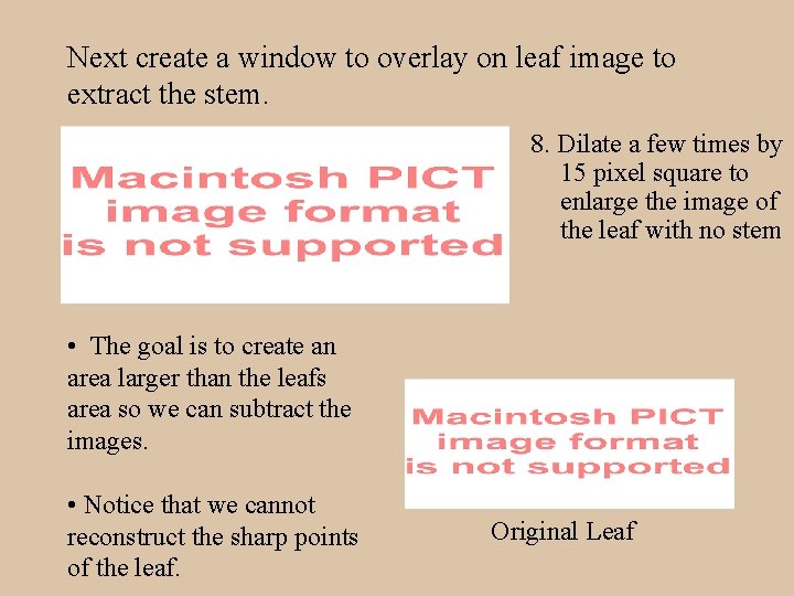 Next create a window to overlay on leaf image to extract the stem. 8.