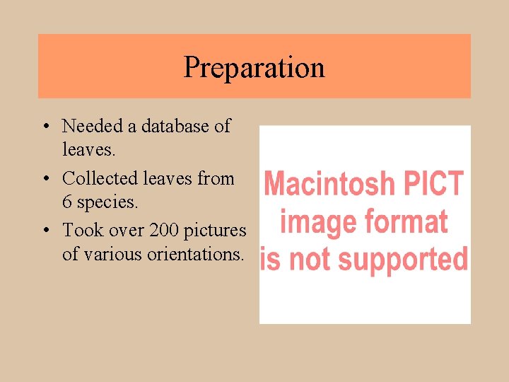 Preparation • Needed a database of leaves. • Collected leaves from 6 species. •