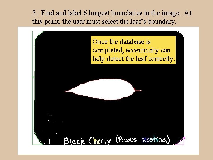 5. Find and label 6 longest boundaries in the image. At this point, the