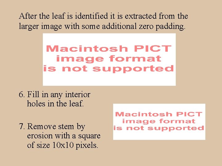 After the leaf is identified it is extracted from the larger image with some