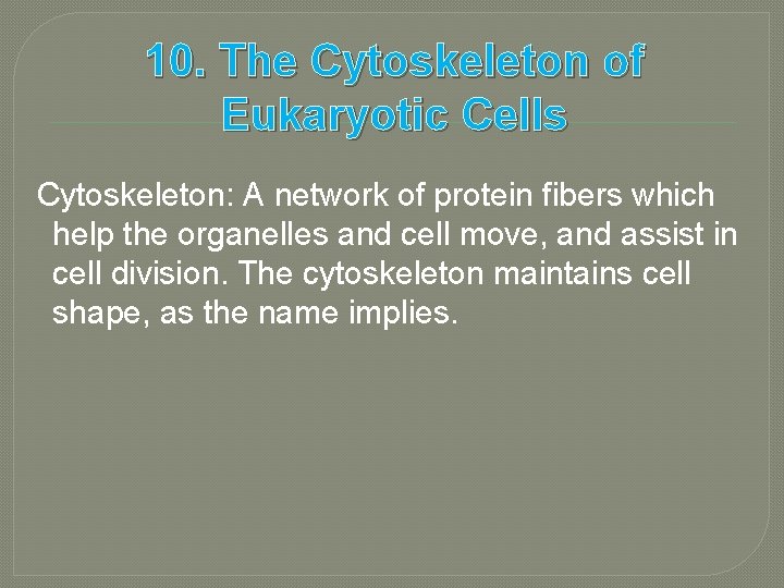 10. The Cytoskeleton of Eukaryotic Cells Cytoskeleton: A network of protein fibers which help