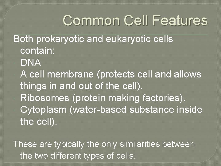 Common Cell Features Both prokaryotic and eukaryotic cells contain: DNA A cell membrane (protects