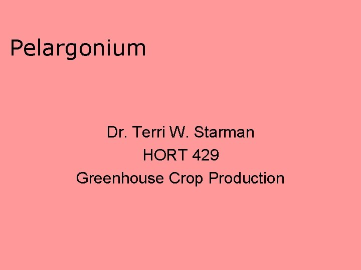 Pelargonium Dr. Terri W. Starman HORT 429 Greenhouse Crop Production 