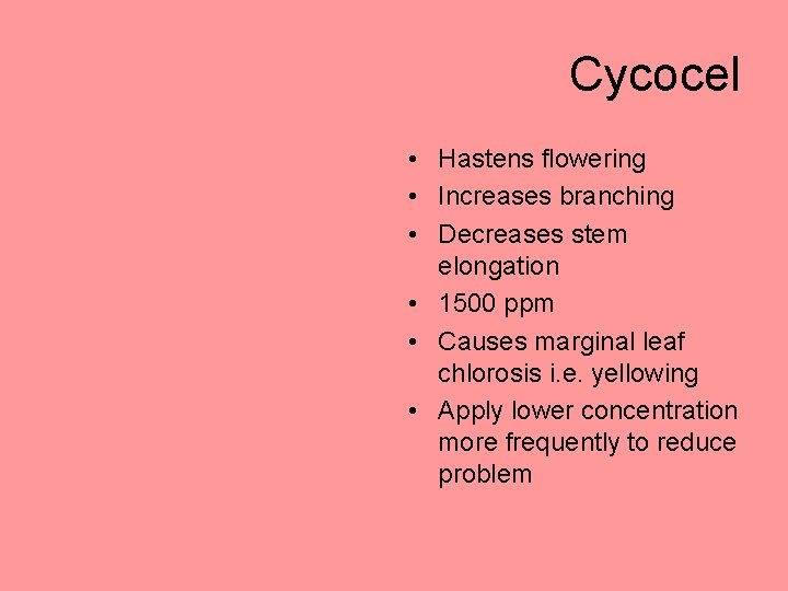 Cycocel • Hastens flowering • Increases branching • Decreases stem elongation • 1500 ppm