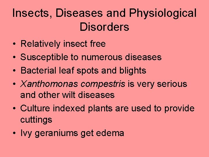 Insects, Diseases and Physiological Disorders • • Relatively insect free Susceptible to numerous diseases