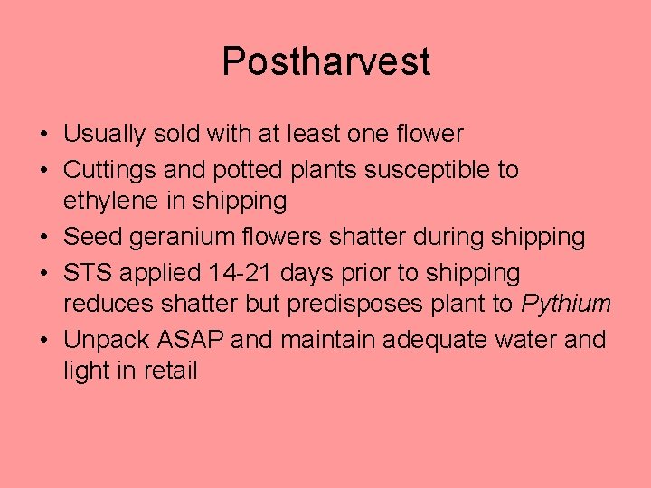 Postharvest • Usually sold with at least one flower • Cuttings and potted plants